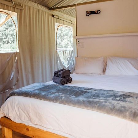 Africamps At White Elephant Safaris Pongola Buitenkant foto
